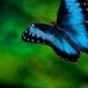 Meet your Posher, Sofia